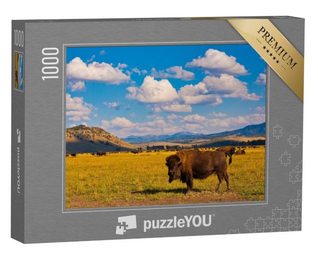 Puzzel 1000 stukjes „Vrijheid voor bizons in Yellowstone National Park, VS“