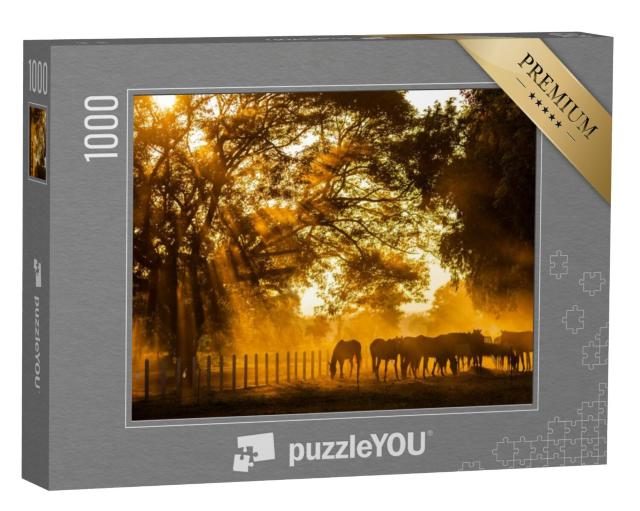 Puzzel 1000 stukjes „Paarden grazen in het gouden avondlicht“