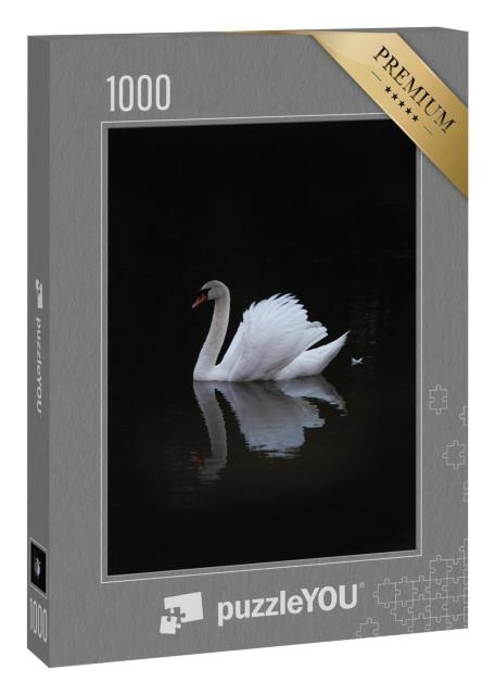 Puzzle 1000 Teile „Weißer eleganter Schwan auf dunklem Hintergrund“