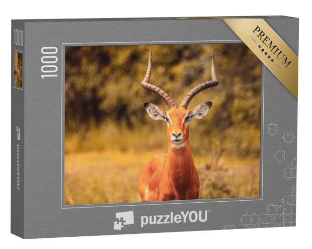 Puzzel 1000 stukjes „Impala-antilope“