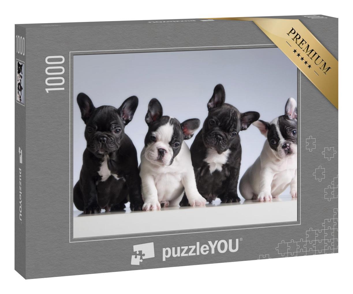 Puzzle 1000 Teile „Vier französische Bulldoggen“