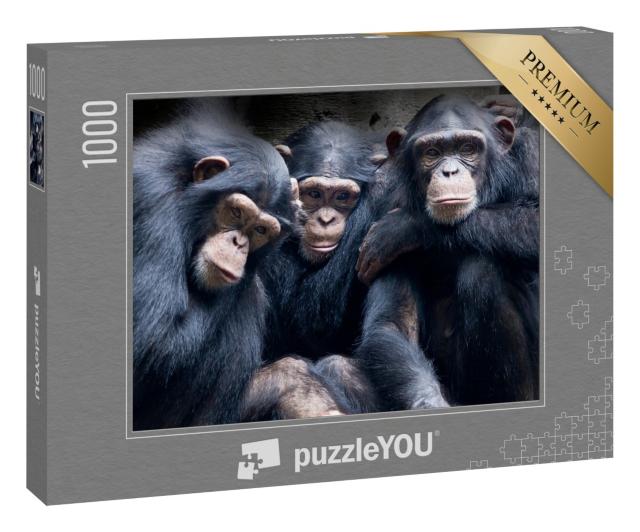 Puzzle „Bonobos und Schimpansen in Afrika“