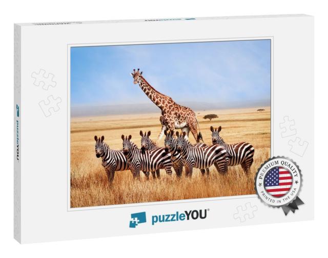 Group of Wild Zebras & Giraffe in the African Savanna Aga... Jigsaw Puzzle