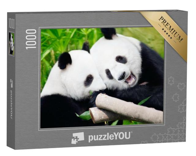 Puzzel 1000 stukjes „Reuzenpanda's eten bamboescheuten“