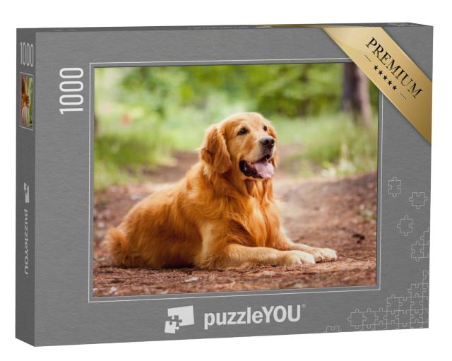 Puzzel 1000 stukjes „Portret van een Golden Retriever“