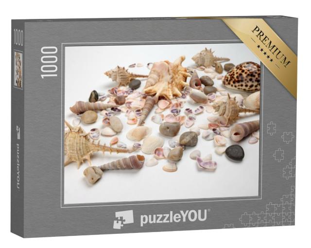 Puzzel 1000 stukjes „Triton schelpen“