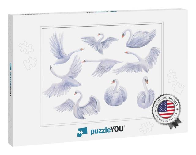 Watercolor Painting of All Forms of Swans, Flying, Restin... Jigsaw Puzzle