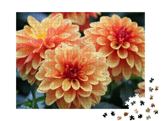 Puzzle 1000 Teile „Dahlienblüten sind bunt und orange“
