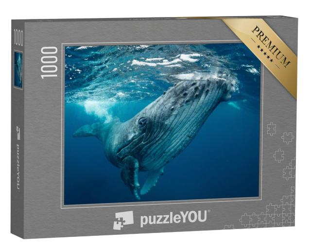 Puzzel 1000 stukjes „Walvissen, Tonga“