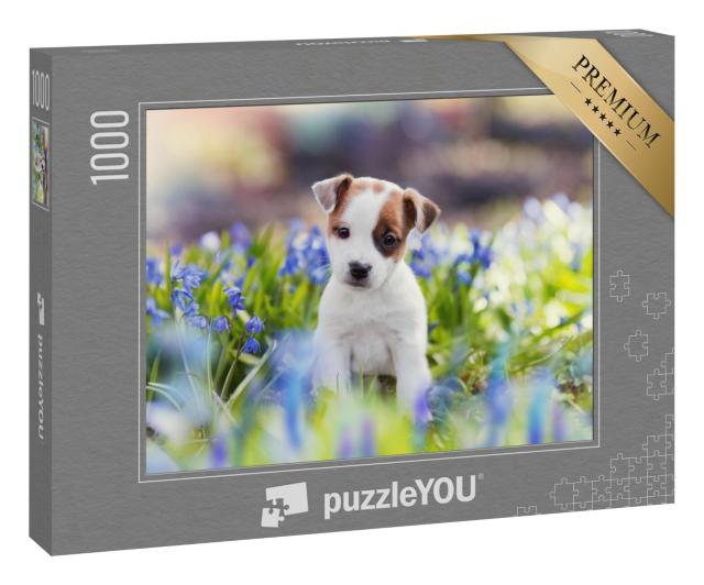 Puzzle „Weißer Jack-Russell-Terrier-Welpe im Sommer“