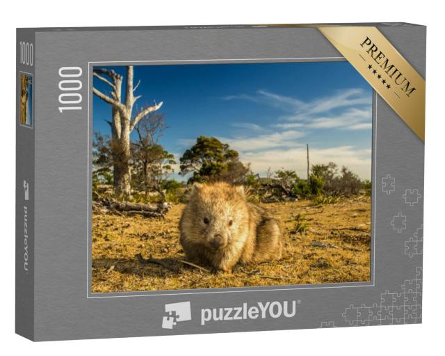 Puzzel 1000 stukjes „Wombats grazen in de Tasmaans-Australische bush“