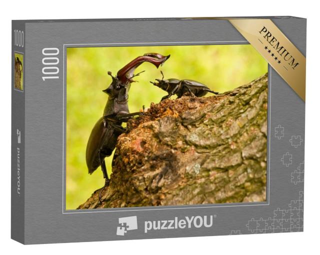 Puzzel 1000 stukjes „Majestueuze mannelijke hertskever met kleiner vrouwelijk exemplaar“