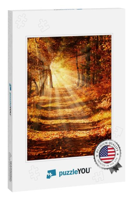 Sunbeams on a Forest Path in Golden Autumn... Jigsaw Puzzle