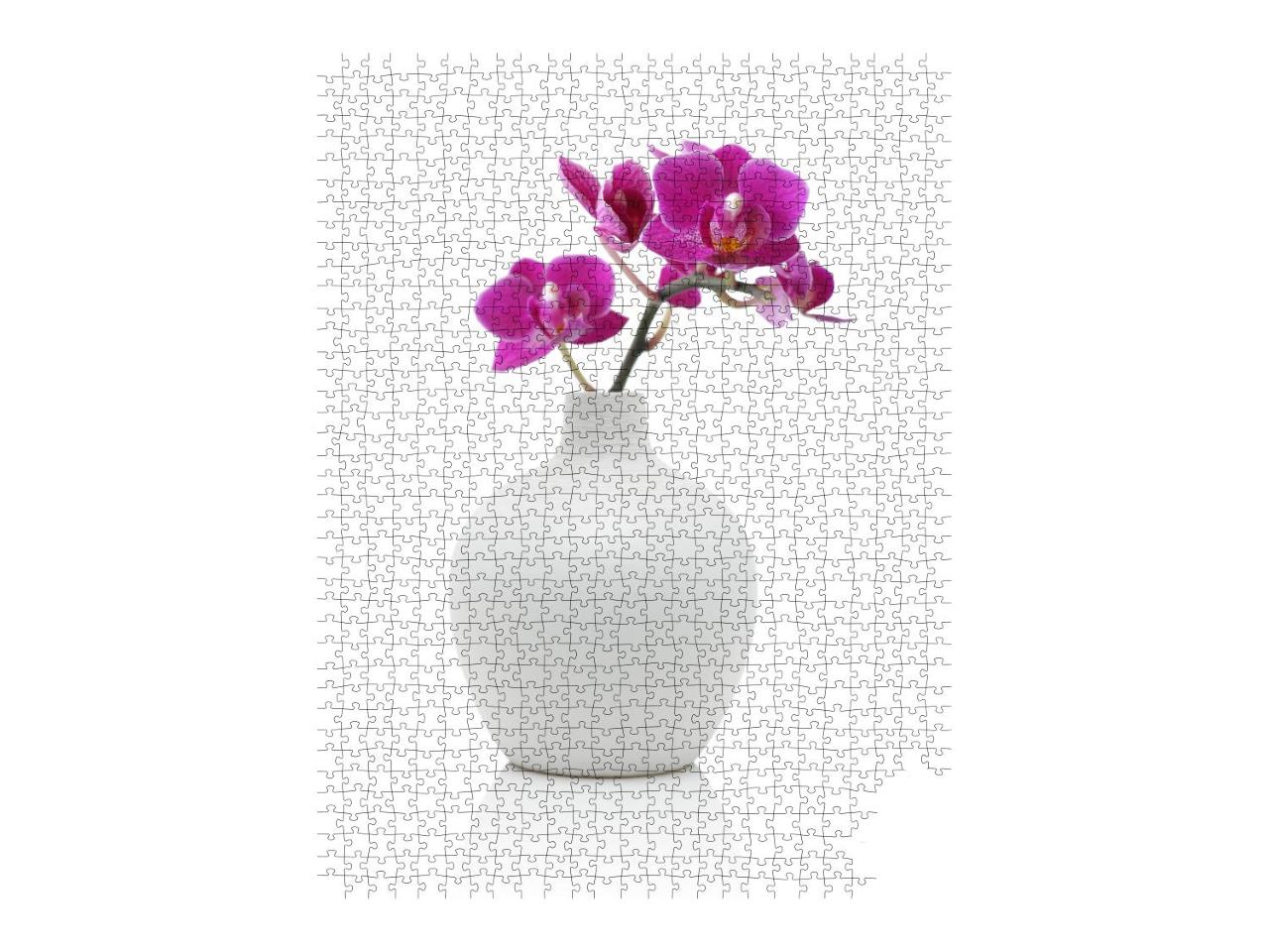 Puzzle 1000 Teile „Orchidee in weißer Vase“