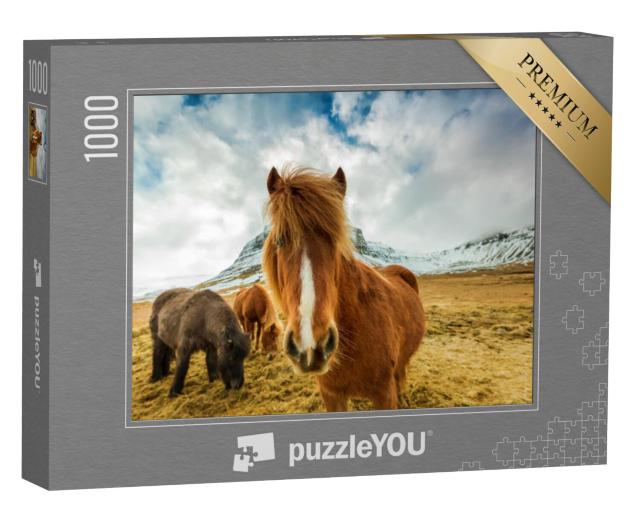 Puzzel 1000 stukjes „Paarden in de bergen van IJsland“