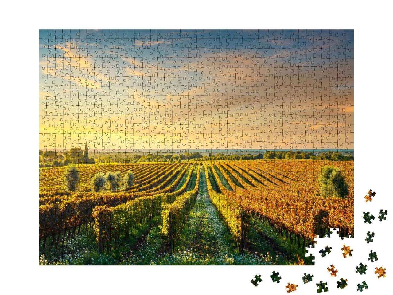 Puzzle 1000 Teile „Bolgheri Weinberg im Sonnenuntergang, Maremma, Toskana“