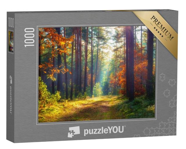 Puzzel 1000 stukjes „Herfstachtig natuurlijk landschap“