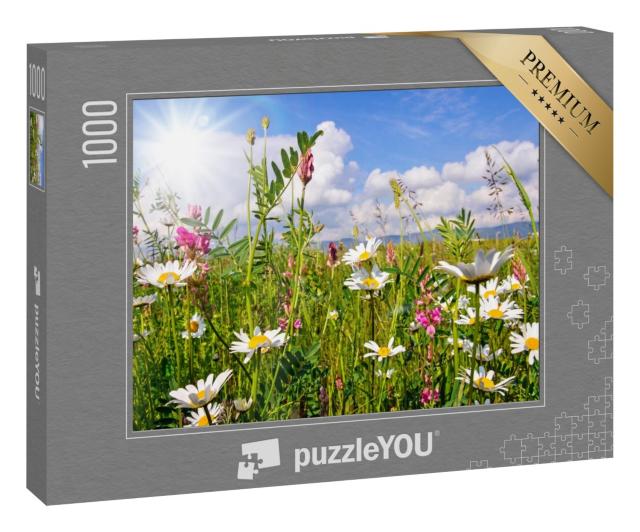Puzzle 1000 Teile „Blumenwiese im Sommer mit Gänseblümchen“