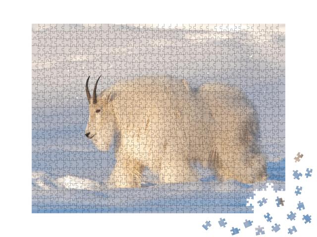 Puzzle 1000 Teile „Eine weiße, haarige Bergziege im Norden Kanadas, verschneiter Hintergrund“