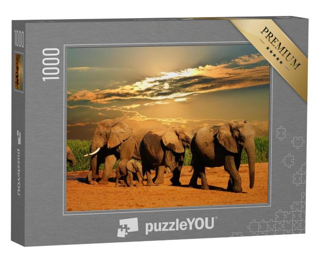 Puzzel 1000 stukjes „Afrikaanse olifantenkudde, Addo Elephant National Park, Zuid-Afrika“