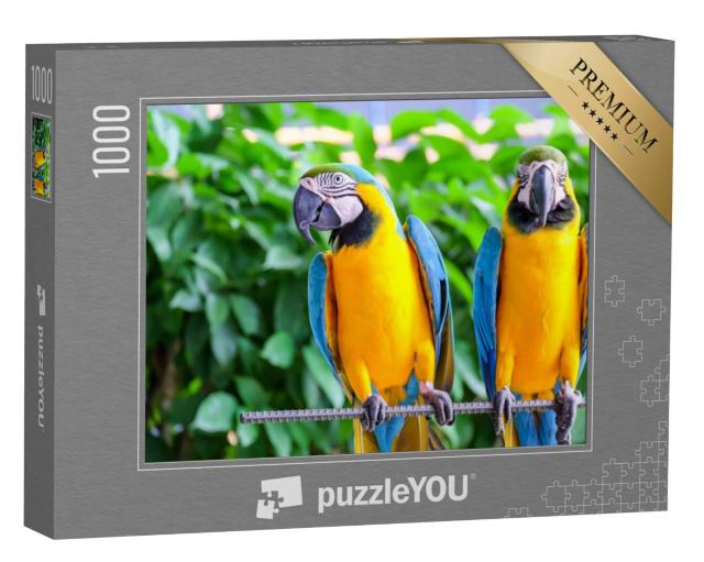 Puzzel 1000 stukjes „Langstaartpapegaai met kleurrijke veren“