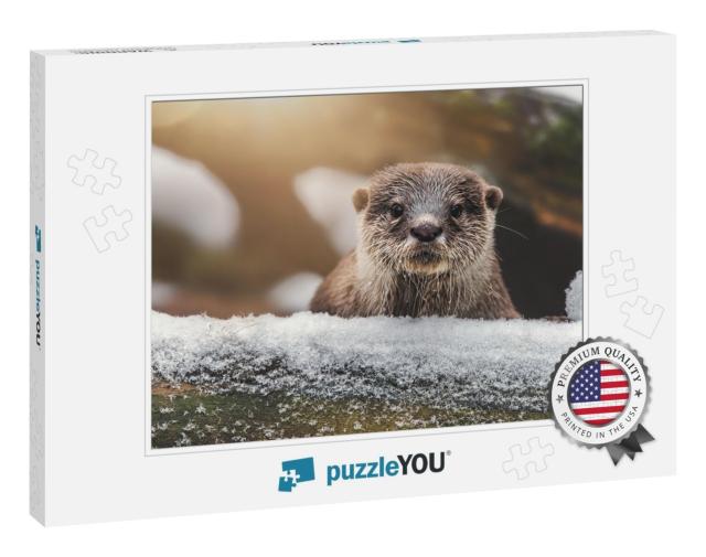Otter Lutra Lutra & Her Cuteness & Her Funny Face... Jigsaw Puzzle
