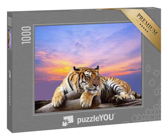 Puzzle 1000 Teile „Aufmerksamer Tiger“