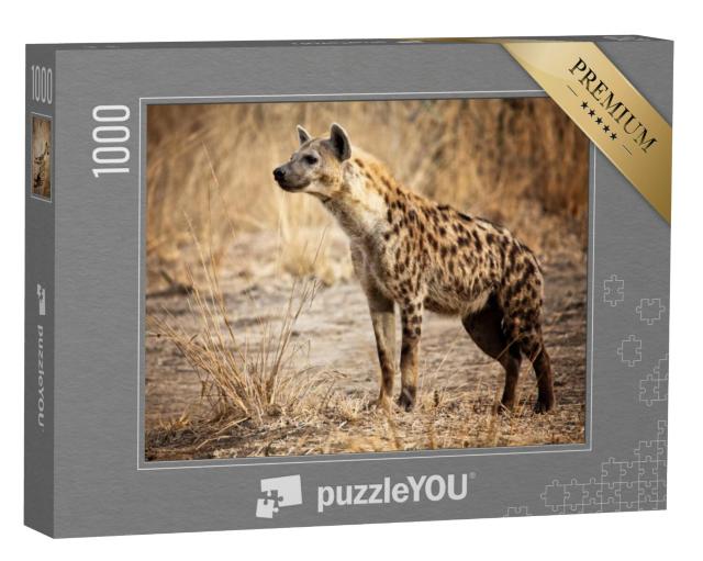 Puzzel 1000 stukjes „Hyena in het Luangwa National Park in Zambia“