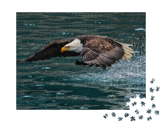 Puzzle 1000 Teile „Amerikanischer Weißkopfseeadler schnappt nach einem Fisch“