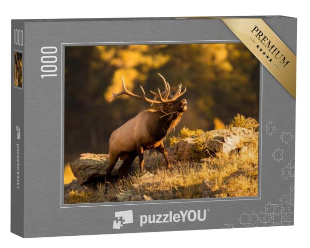 Puzzel 1000 stukjes „Een elandstier roept om zijn partner“