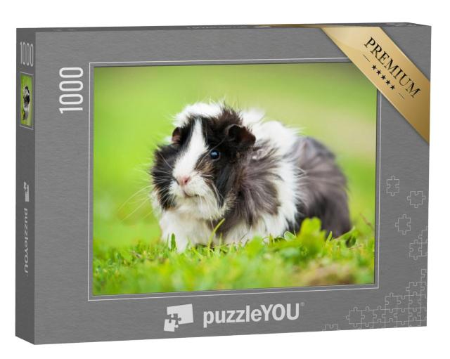 Puzzel 1000 stukjes „Cavia's buiten“