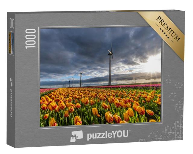 Puzzel 1000 stukjes „Veld met gele en rode Triumph tulpen (variëteit 'Striped Belona') in Flevoland“