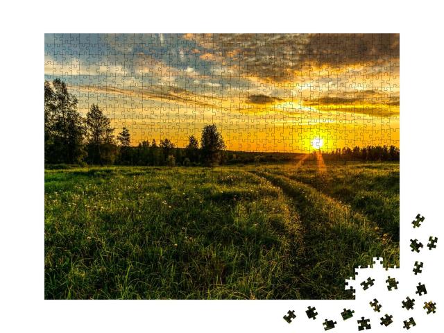 Puzzle 1000 Teile „Sonnenuntergang über einer grünen Wiese“