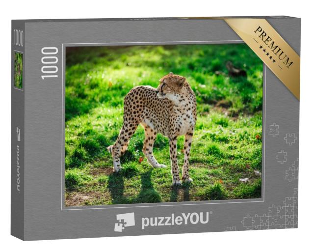 Puzzel 1000 stukjes „Jachtluipaard wilde kat op groen gras“