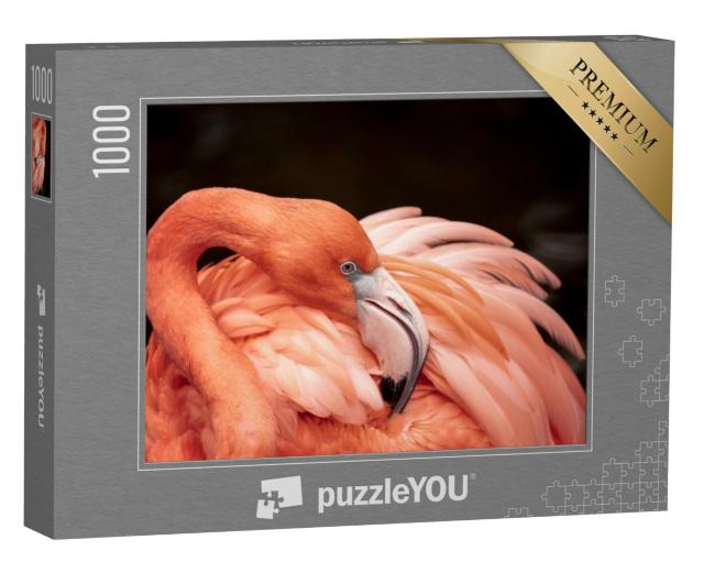 Puzzel 1000 stukjes „Portret van een roze flamingo“