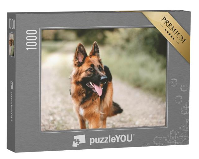 Puzzel 1000 stukjes „Close-up van een Duitse herdershond“