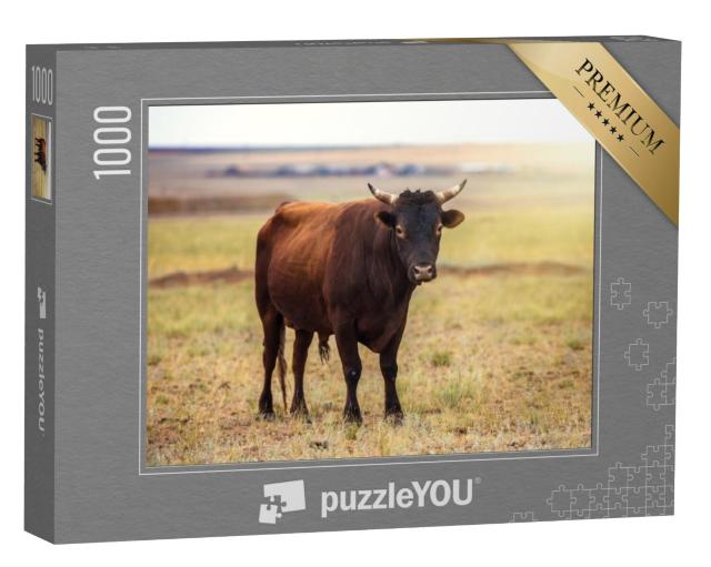 Puzzel 1000 stukjes „Portret van een bruine stier in een veld“