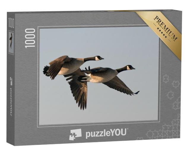 Puzzel 1000 stukjes „Vliegende ganzen“