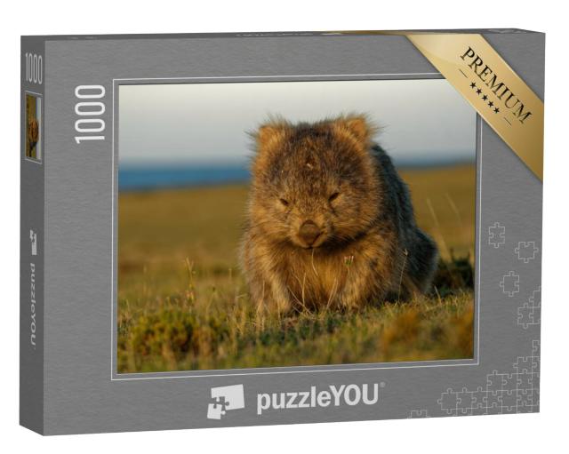 Puzzel 1000 stukjes „Een wombat in het Tasmaanse avondlicht, Australië“