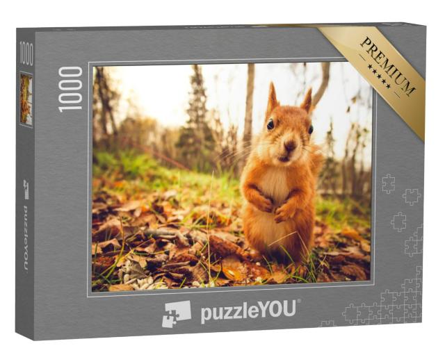 Puzzel 1000 stukjes „Eekhoorn“