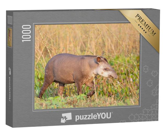 Puzzel 1000 stukjes „Een laagland tapir in de Braziliaanse jungle“