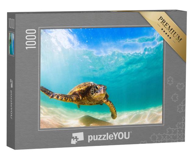 Puzzel 1000 stukjes „Groene zeeschildpad, Hawaii“