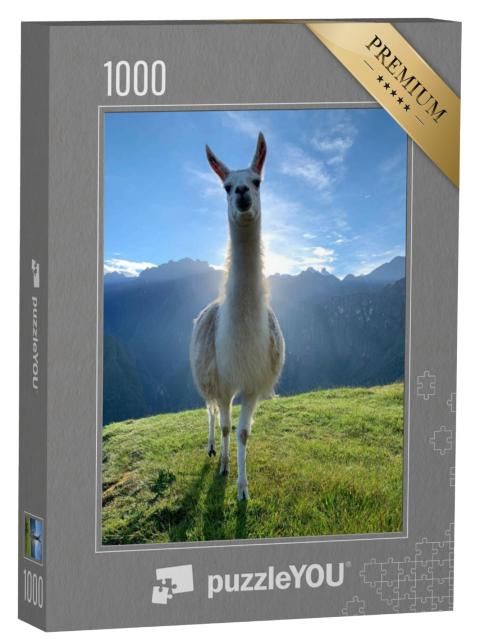 Puzzel 1000 stukjes „Witte lama in de Andes, Peru“