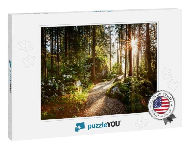 Magical Scenic & Pathway Through Woods in the Morning Sun... Jigsaw Puzzle