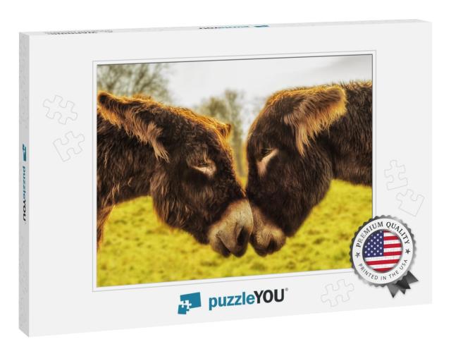 A Pair of Donkeys Looks Into Their Eyes... Jigsaw Puzzle