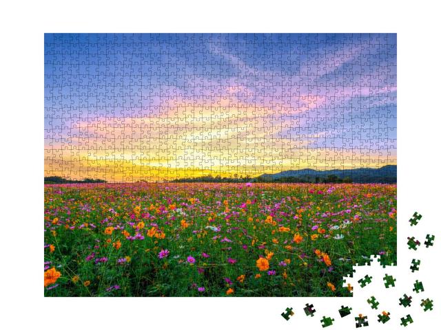 Puzzle 1000 Teile „Ein Feld mit rosa Kosmeen“
