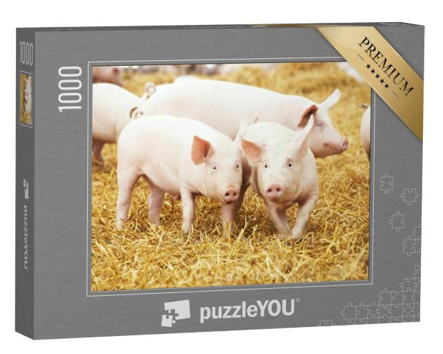 Puzzel 1000 stukjes „Biggen op hooi en stro“