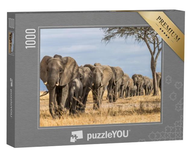 Puzzel 1000 stukjes „Kudde olifanten in Afrika, Tarangire National Park, Tanzania“