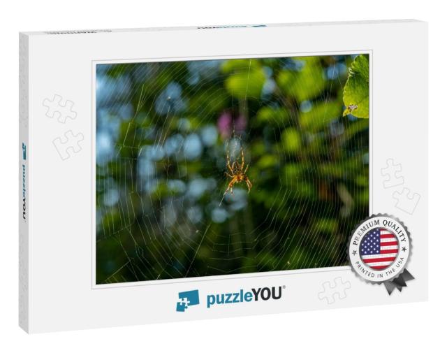 Detailed Close Up of a Large Garden Spider or Cross Spide... Jigsaw Puzzle