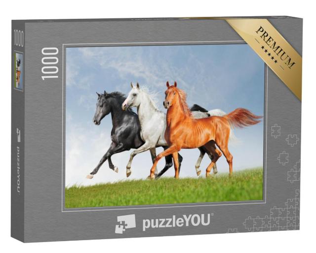 Puzzel 1000 stukjes „Drie Arabische paarden“